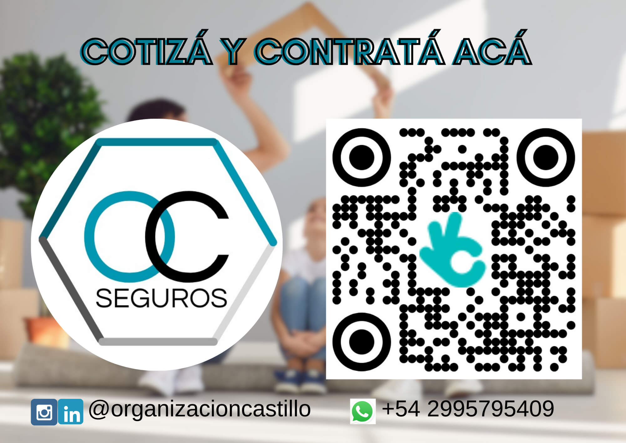 Organización Castillo