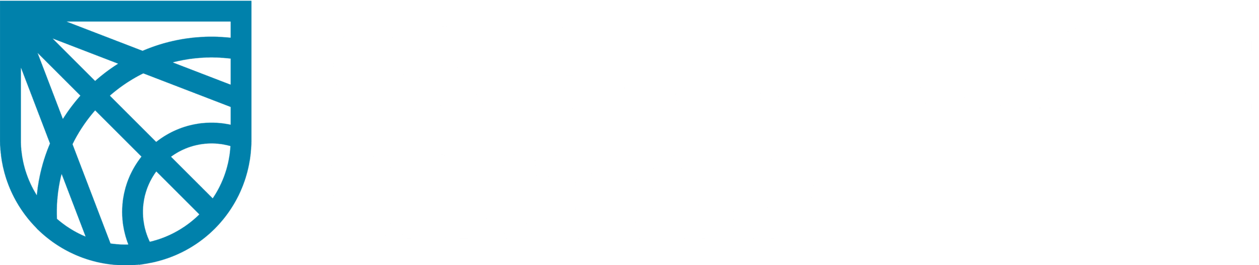 Organizacion Castillo